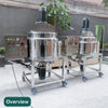 300L Movable Liquid Heating Homogenizing Mixer